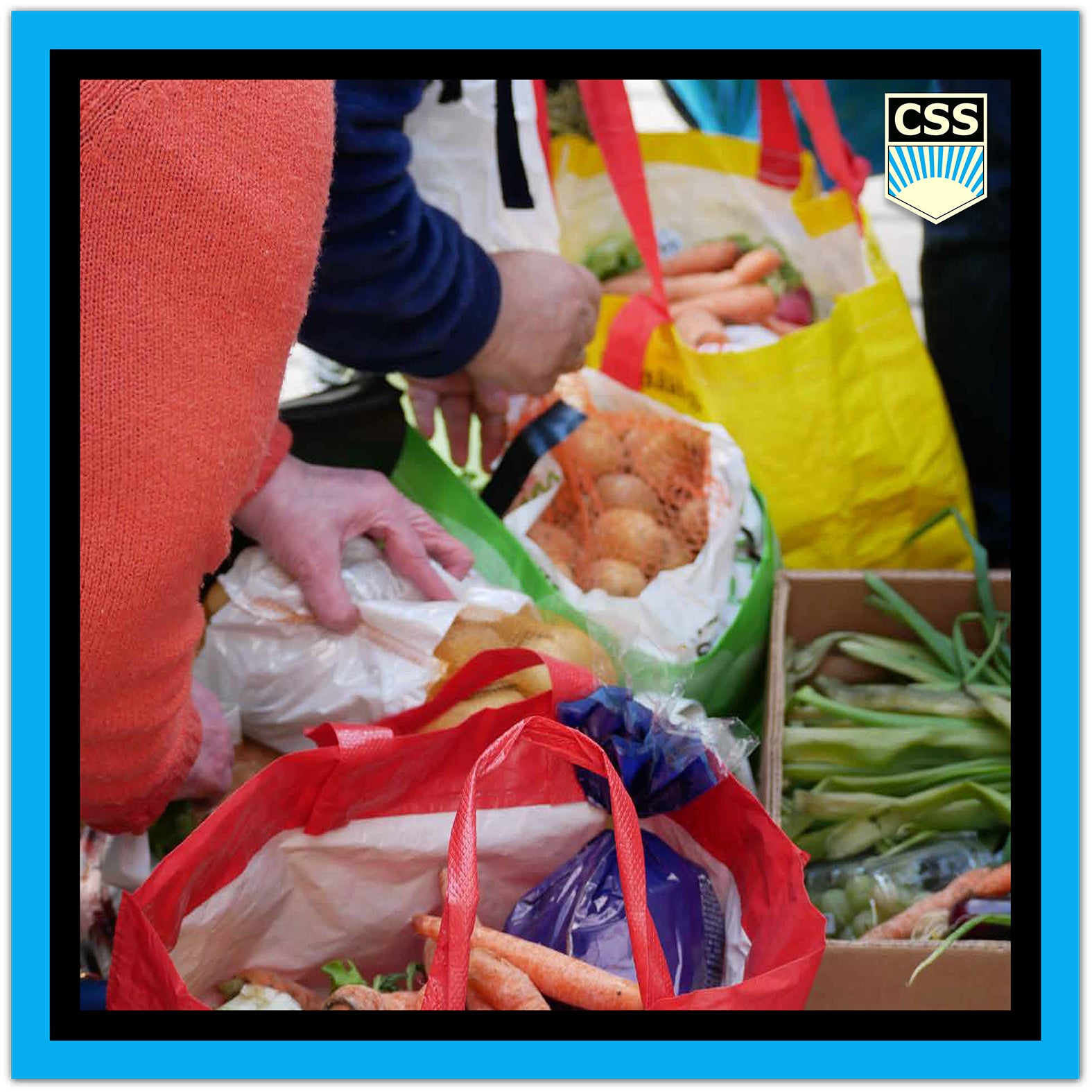FRATERNITACSS_Donatie_de_alimente