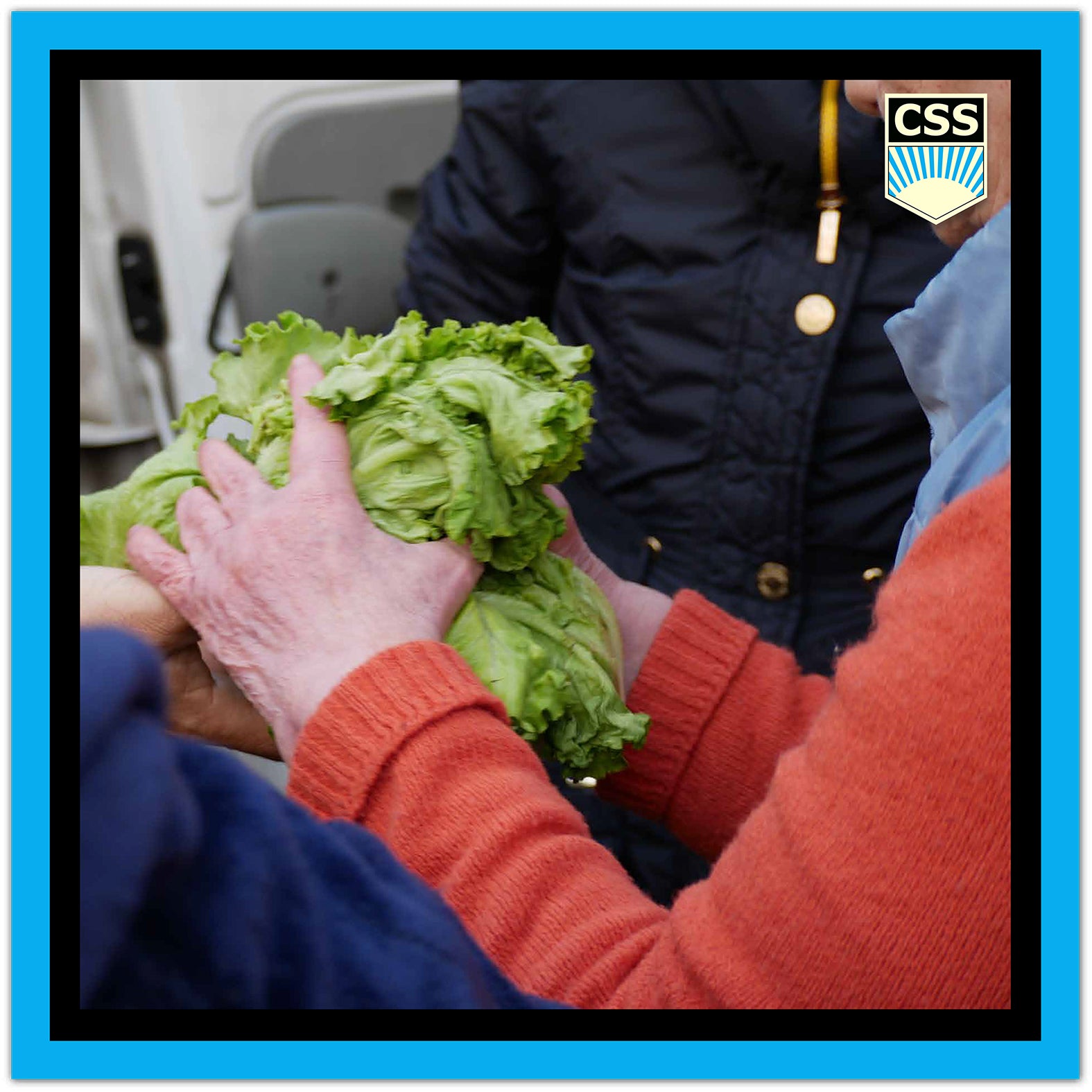 FRATERNITACSS_Donatie_de_alimente
