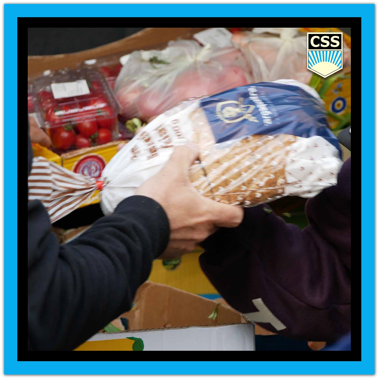 FRATERNITACSS_Donatie_de_alimente