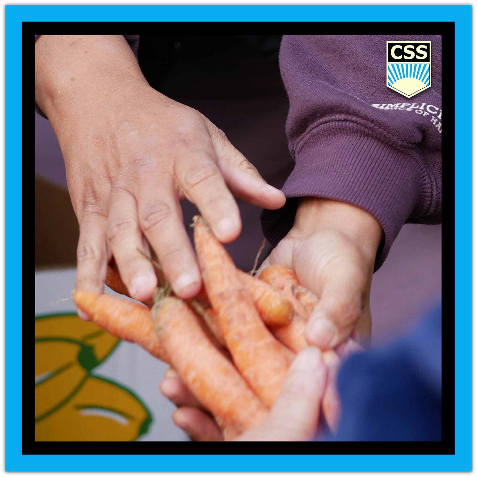 FRATERNITACSS_Donatie_de_alimente