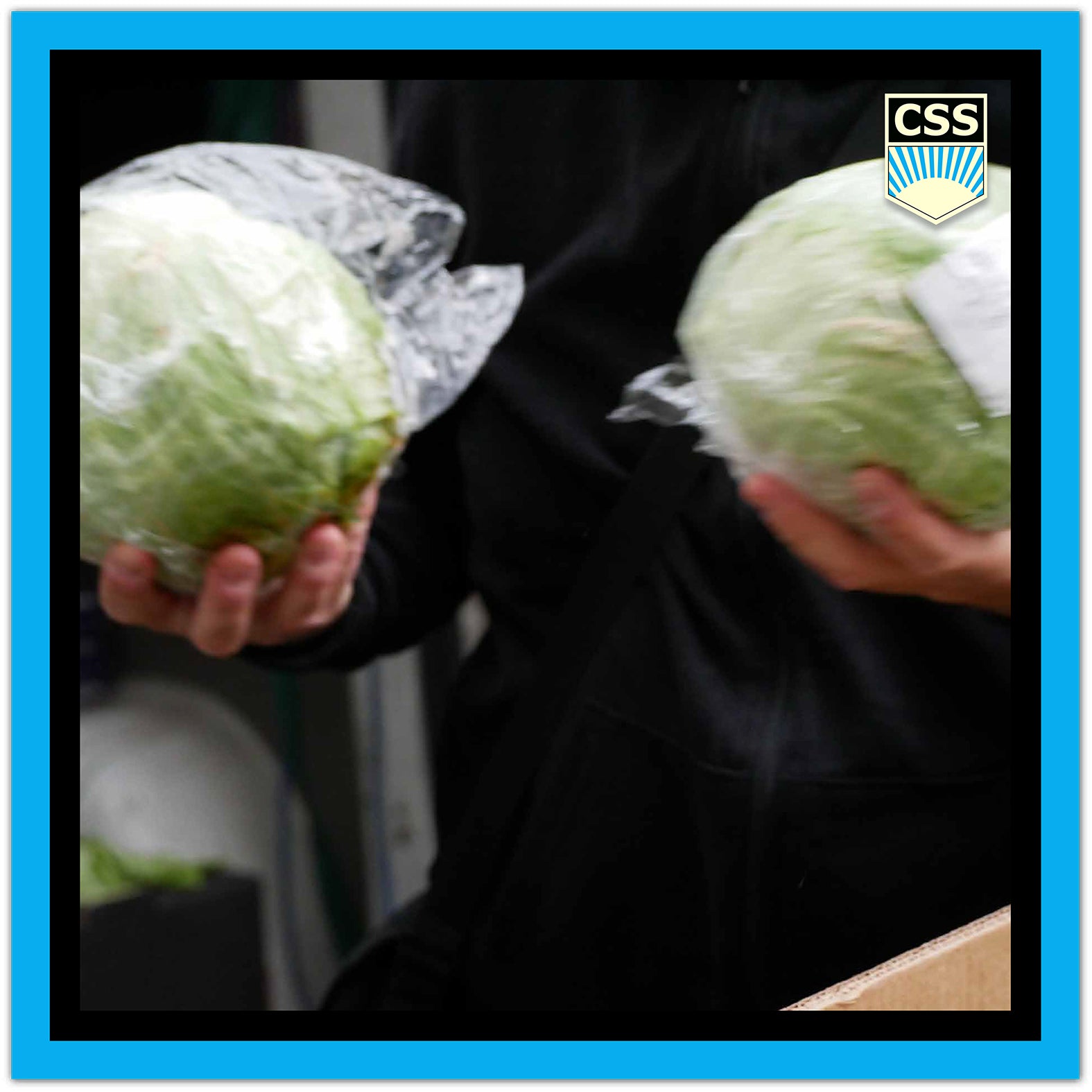 FRATERNITACSS_Donatie_de_alimente