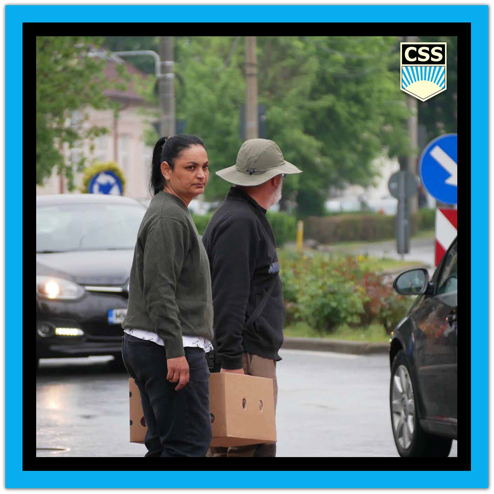 FRATERNITACSS_Bunatatea_este_Limbajul_fraternita_css