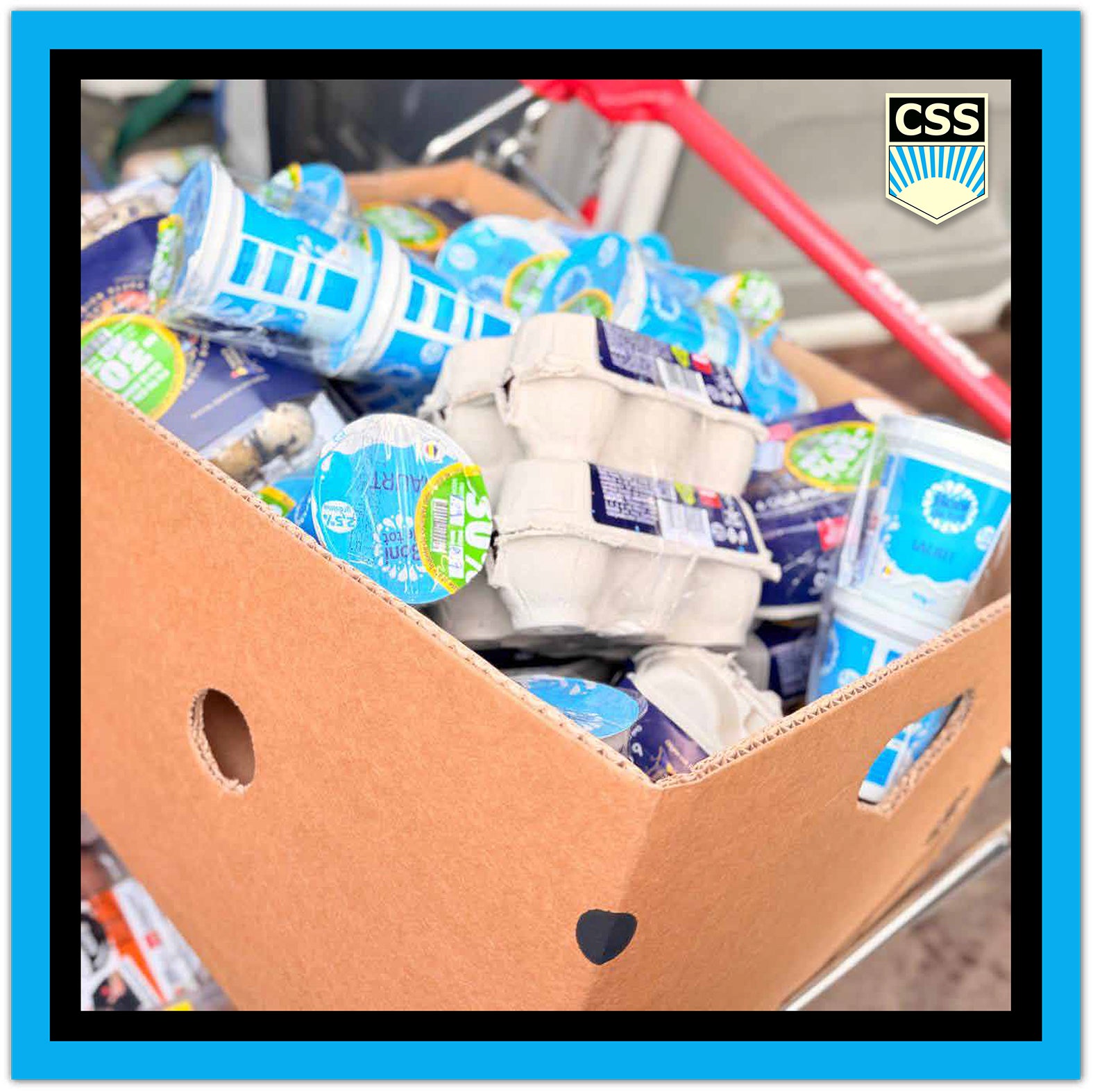 FRATERNITACSS_Impreuna_Facem_Bine_Rino_Senatore_Genarro_Fra_Rino_Fraternita_CSS_Magazin_Social_Baia_Mare_Banca_de_Alimente_Maramures_Charitas_Sobrietas_Silentium