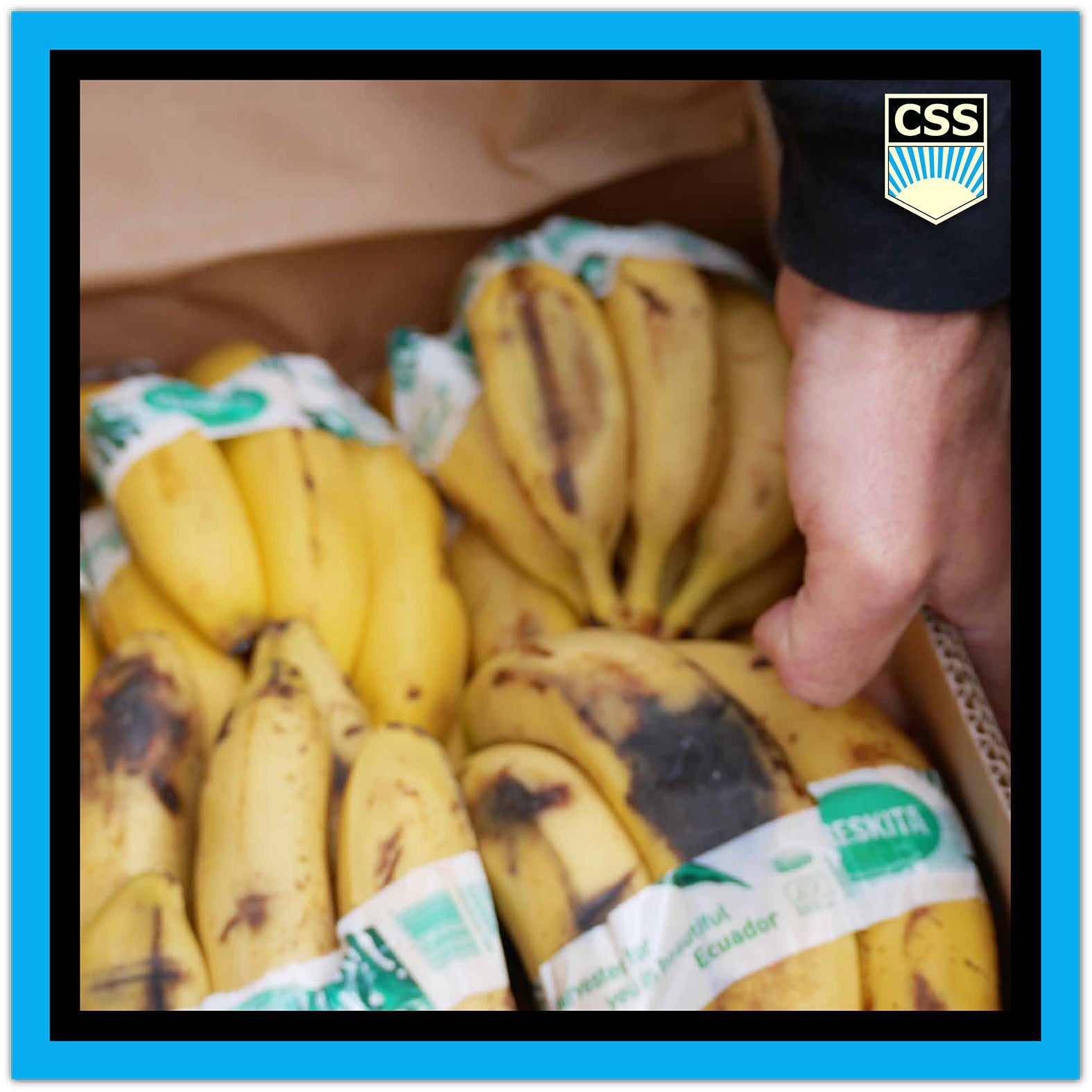 FRATERNITACSS_Impreuna_Facem_Bine_Rino_Senatore_Genarro_Fra_Rino_Fraternita_CSS_Magazin_Social_Baia_Mare_Banca_de_Alimente_Maramures_Charitas_Sobrietas_Silentium