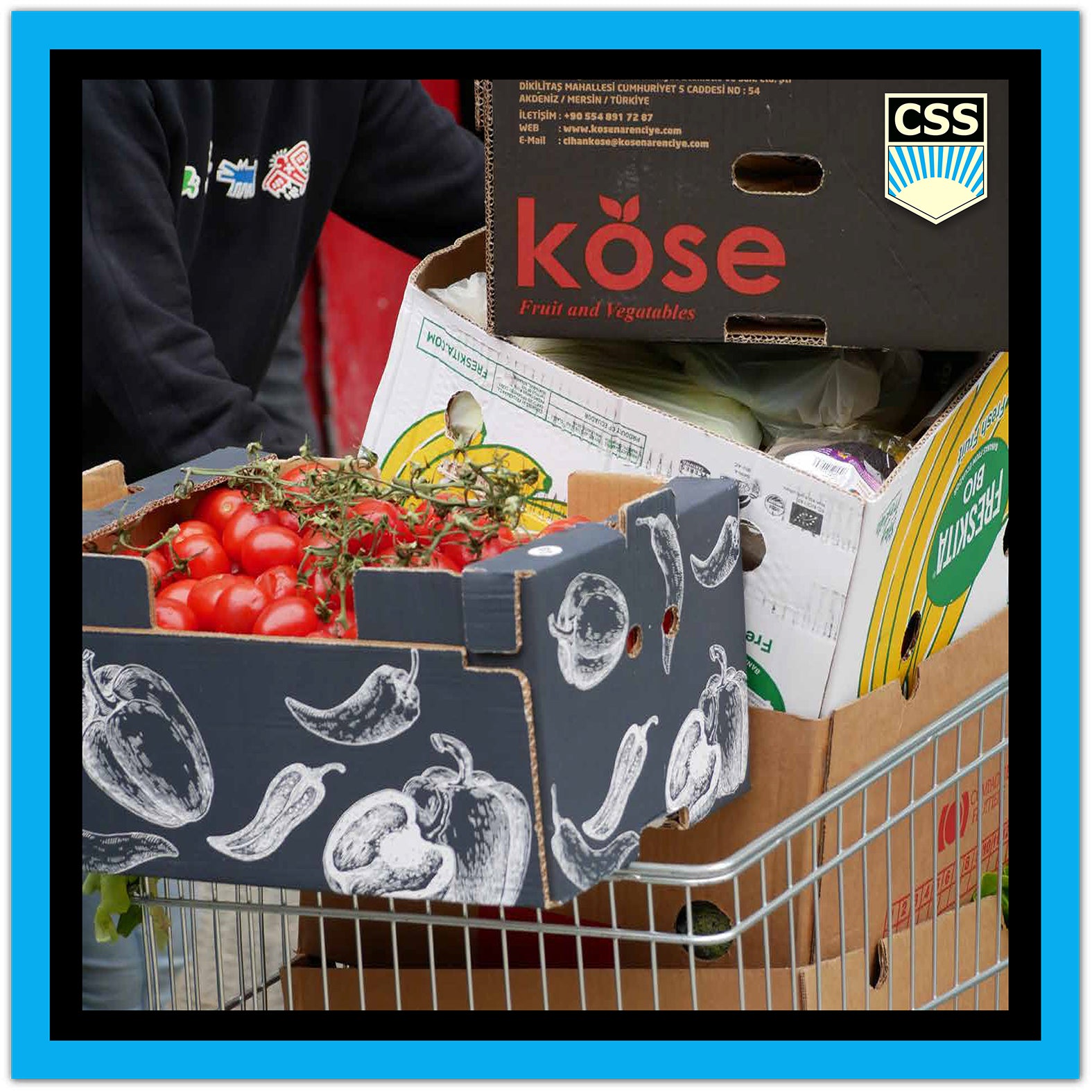 FRATERNITACSS_Un_Gest_de_Solidaritate